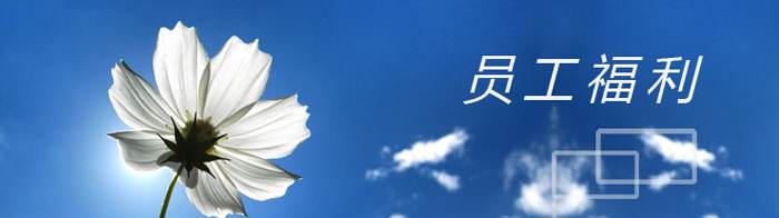 網站關鍵詞 網站關鍵詞