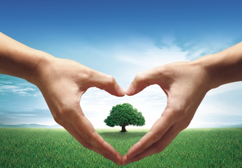 山東興源機械有限公司官網|起重機|行車|山東興源機械|單梁起重機|電動葫蘆|起重配件|www.bfmgroup.com.cn|xyqzj|xyqzj.com|興源起重機|興源|起重機行車|起重設備|起重機械 山東興源機械有限公司官網|起重機|行車|山東興源機械|單梁起重機|電動葫蘆|起重配件|www.bfmgroup.com.cn|xyqzj|xyqzj.com|興源起重機|興源|起重機行車|起重設備|起重機械